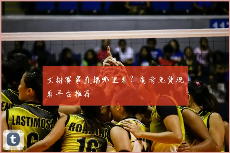 女排赛事直播哪里看？高清免费观看平台推荐