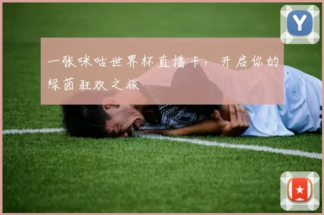 一张咪咕世界杯直播卡,开启你的绿茵狂欢之旅