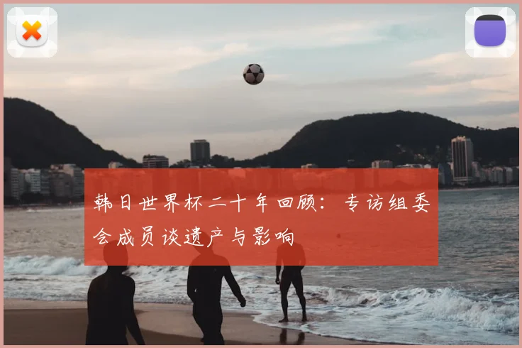 韩日世界杯二十年回顾：专访组委会成员谈遗产与影响