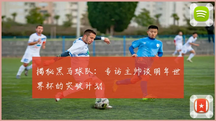 揭秘黑马球队：专访主帅谈明年世界杯的突破计划