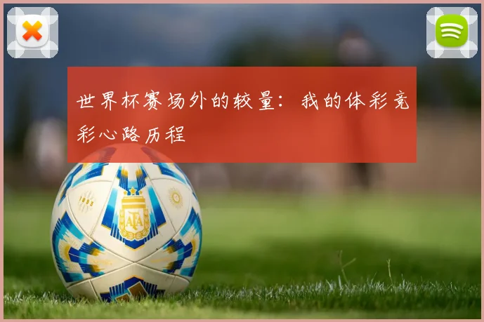 世界杯赛场外的较量：我的体彩竞彩心路历程