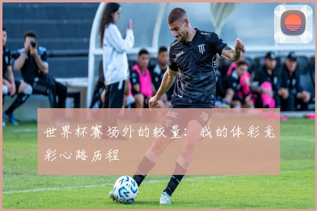 世界杯赛场外的较量:我的体彩竞彩心路历程