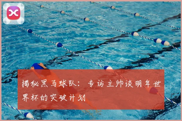 揭秘黑马球队：专访主帅谈明年世界杯的突破计划