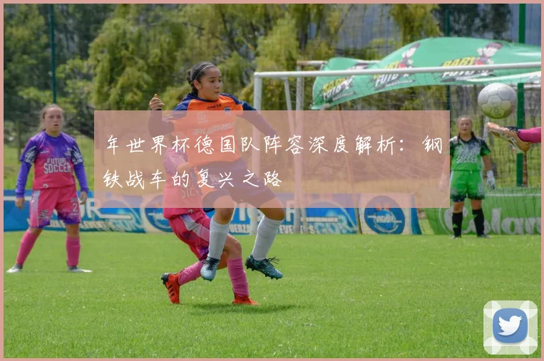 年世界杯德国队阵容深度解析：钢铁战车的复兴之路