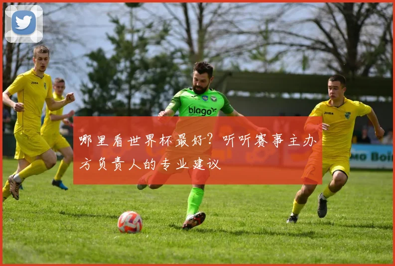 哪里看世界杯最好？听听赛事主办方负责人的专业建议