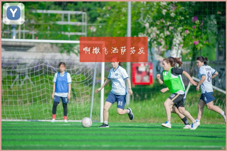 世界杯阿根廷夺冠背后的数据与故事：超越梅西的全面胜利